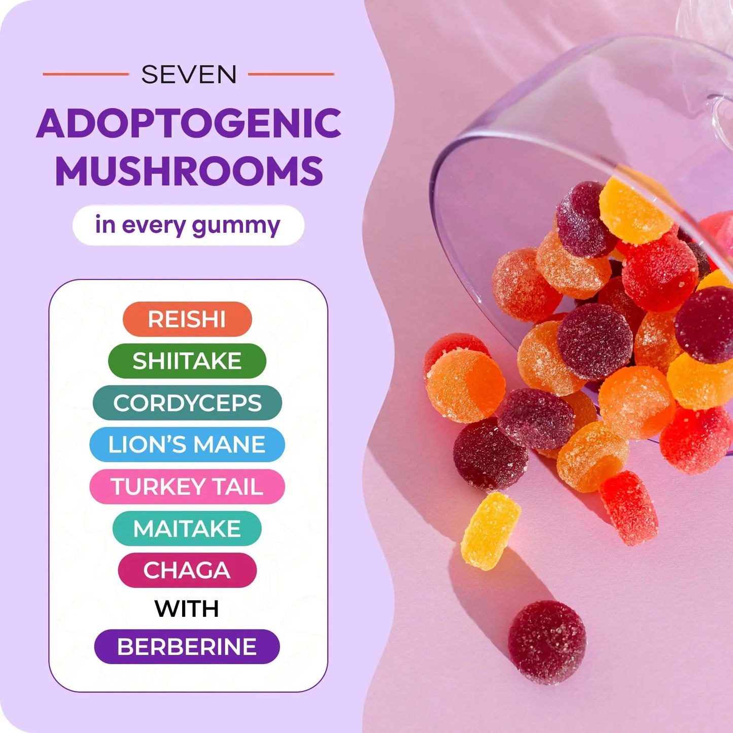 Focus & Calm Mushroom Gummies – 2500mg med Lion’s Mane & Ashwagandha (80 st)